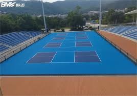 世界杯选拔赛出现突发状况，引广泛关注