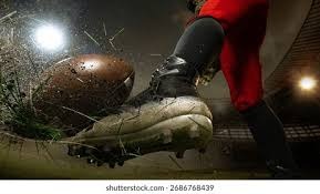 网球——墨西哥公开赛：蒂亚福不敌福基纳