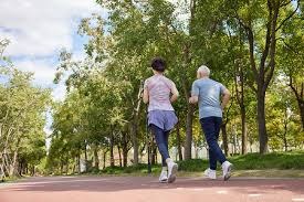 土媒：贝西克塔斯计划一月报价日本国脚守田英正